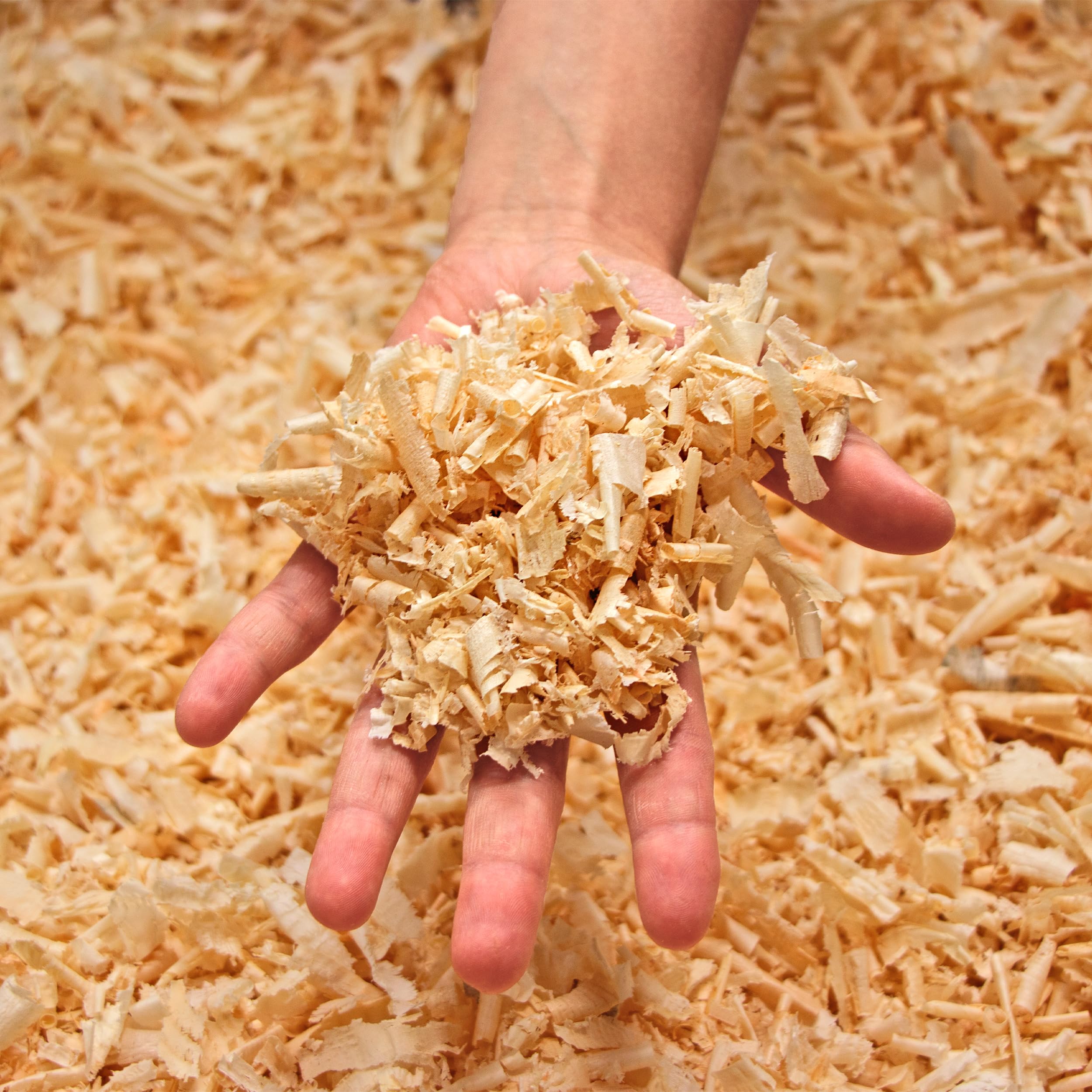 1kg Zirbenspäne 1. Wahl - zertifiziertes Zirbenholz - für Zirbenkissen, entstaubt, hochwertig verarbeitet