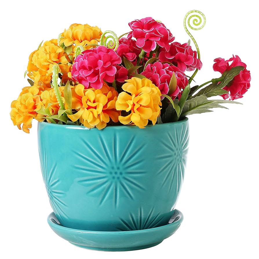 Amazon.com: MyGift Aqua 陶瓷室內植物花盆帶排水孔和裝飾旭日