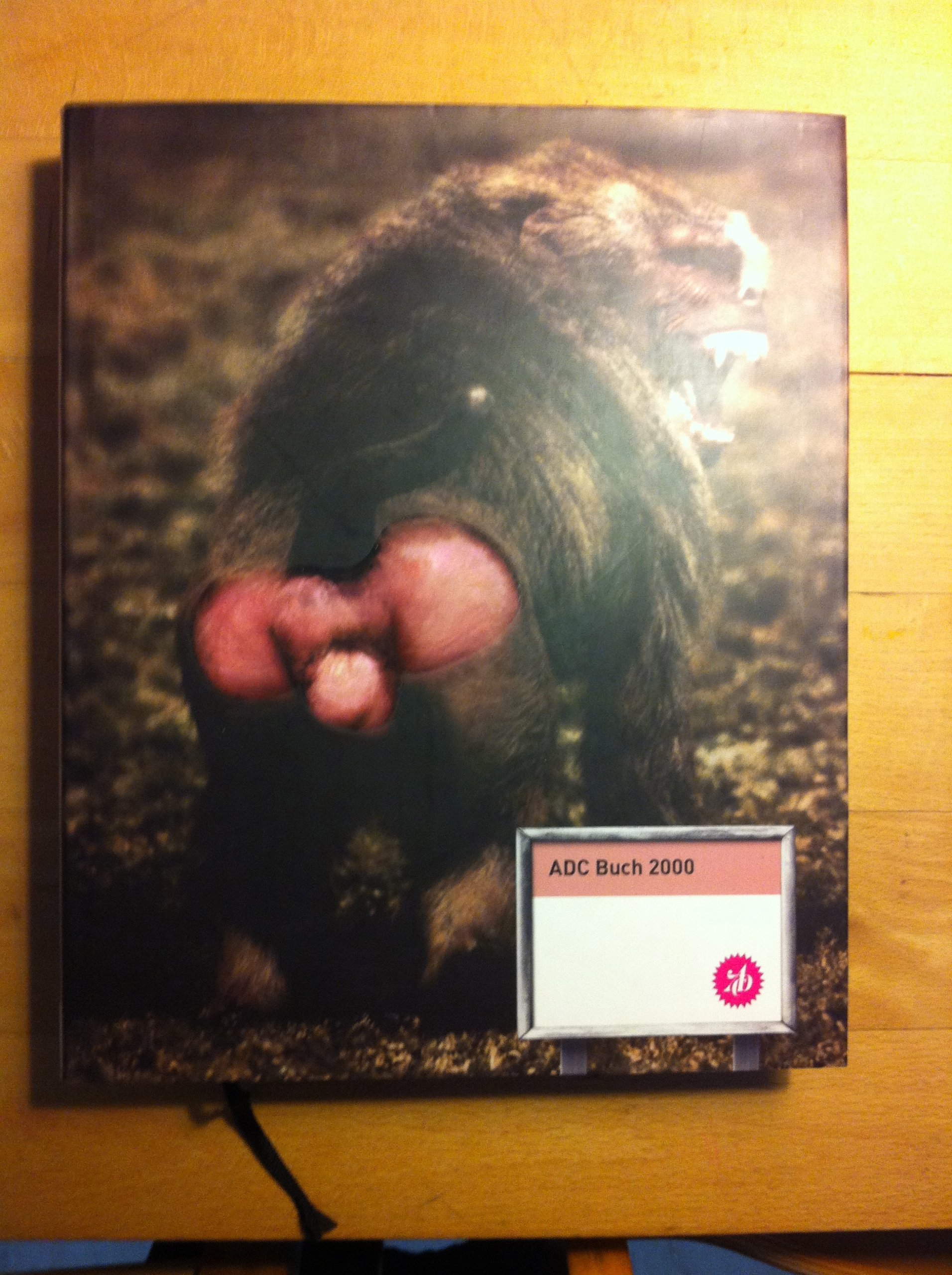 ADC - Buch 2000