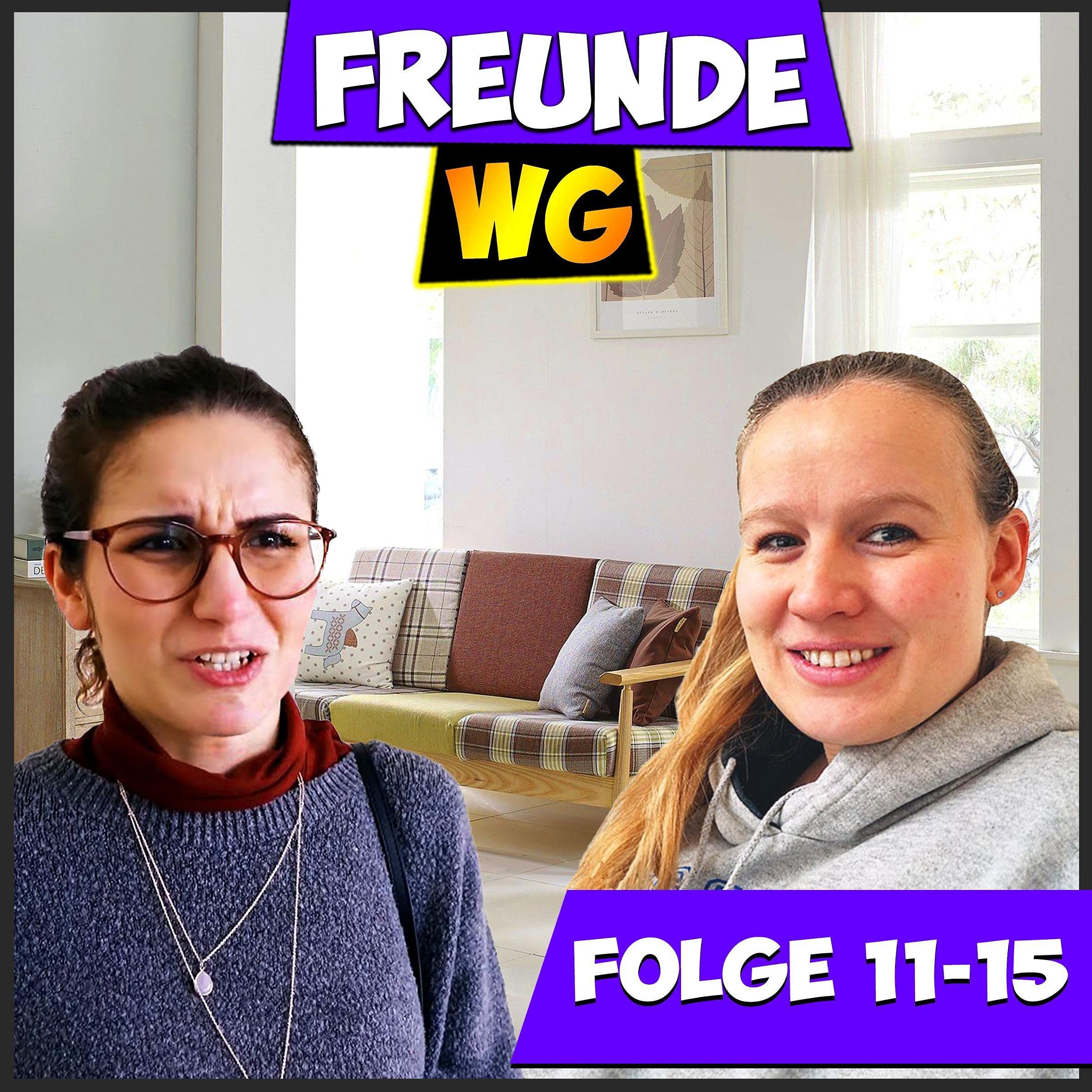 Cover art for Folge 11-15