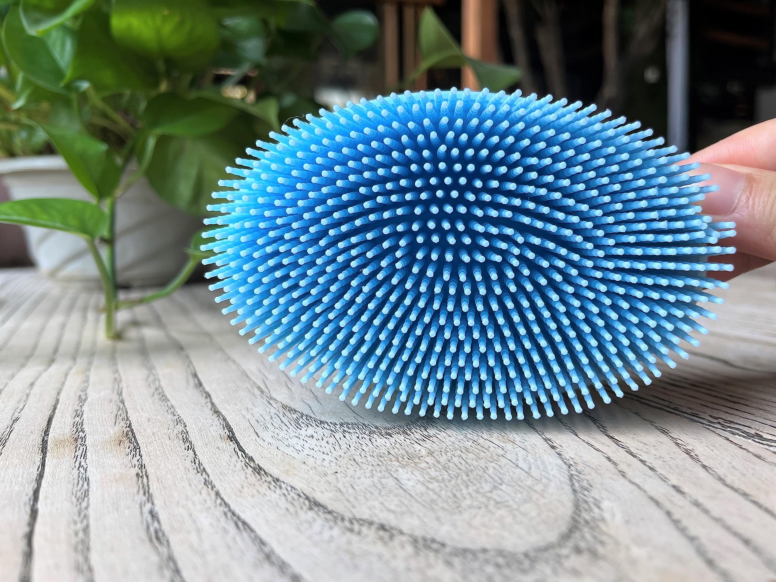Premium Sensory Brush for Kids or Autism,Soft Silicone Body Scrubber,2 in 1 Sensory Room Occupational Therapy Brushes,Silicone Loofah,Pet Shower Brush Bath Brush Shampoo Brush - Image 4
