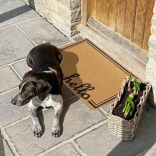 Miniatura 3 de Felpudo antideslizante de bienvenida para puerta delantera, diseño de borde de tira para exteriores, tapetes de entrada, decoración de entrada de