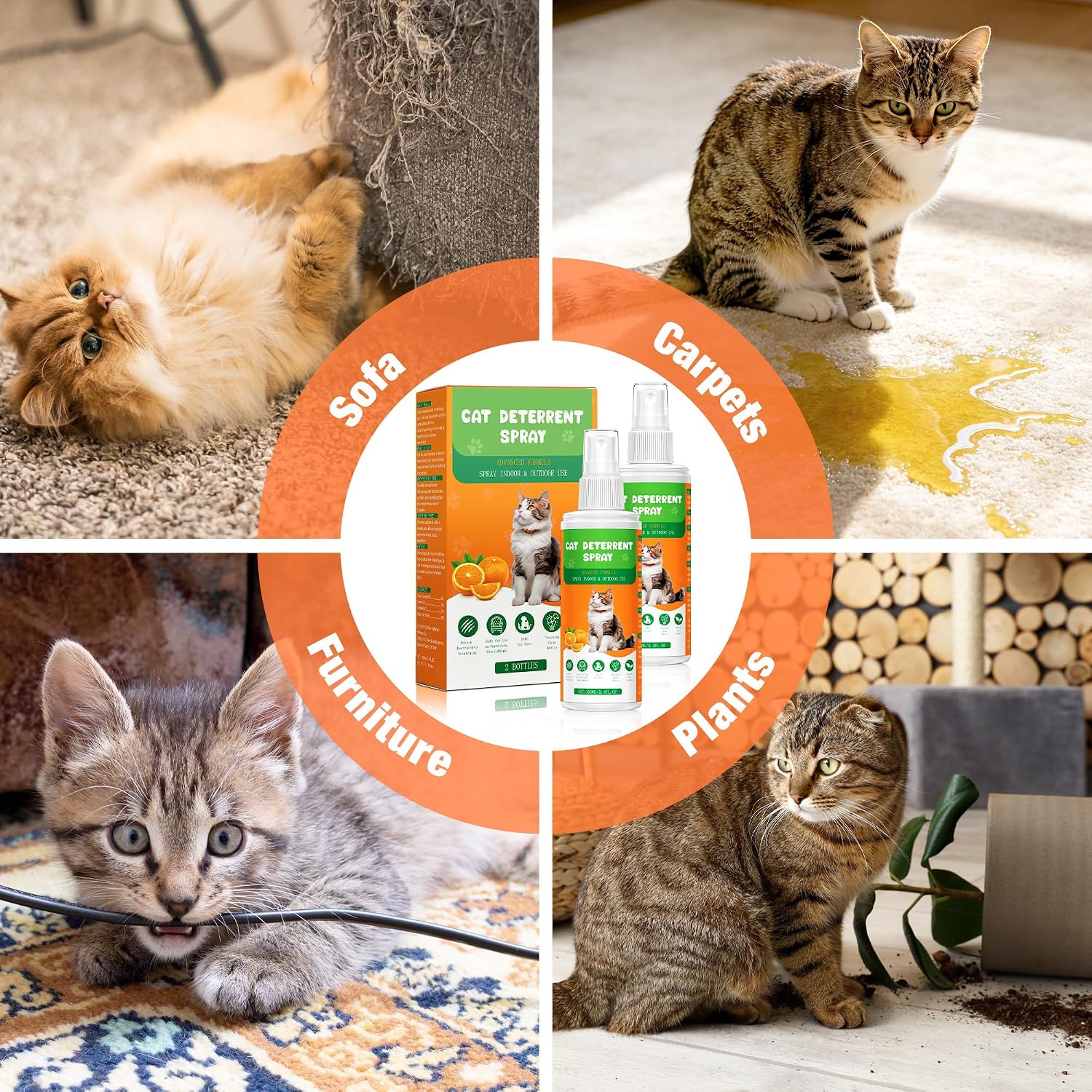 Cat Deterrent Spray 2 Pack (100ml Each) - Natural Cat Repellent Spray for Indoor & Outdoor Use, Anti-Scratch & Anti-Urine Training Spray for Furniture, Plants & Garden