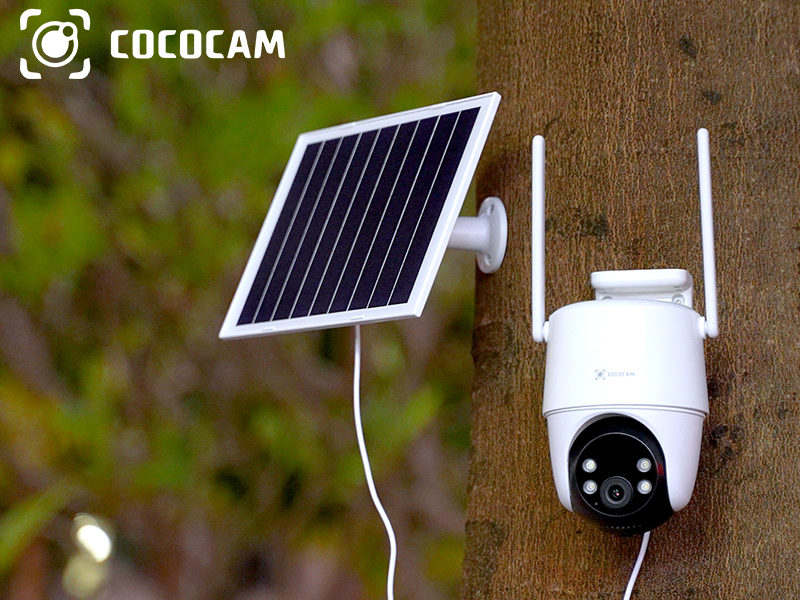 Amazon.com : COCOCAM 24/7 Recording AOV WiFi Security Camera