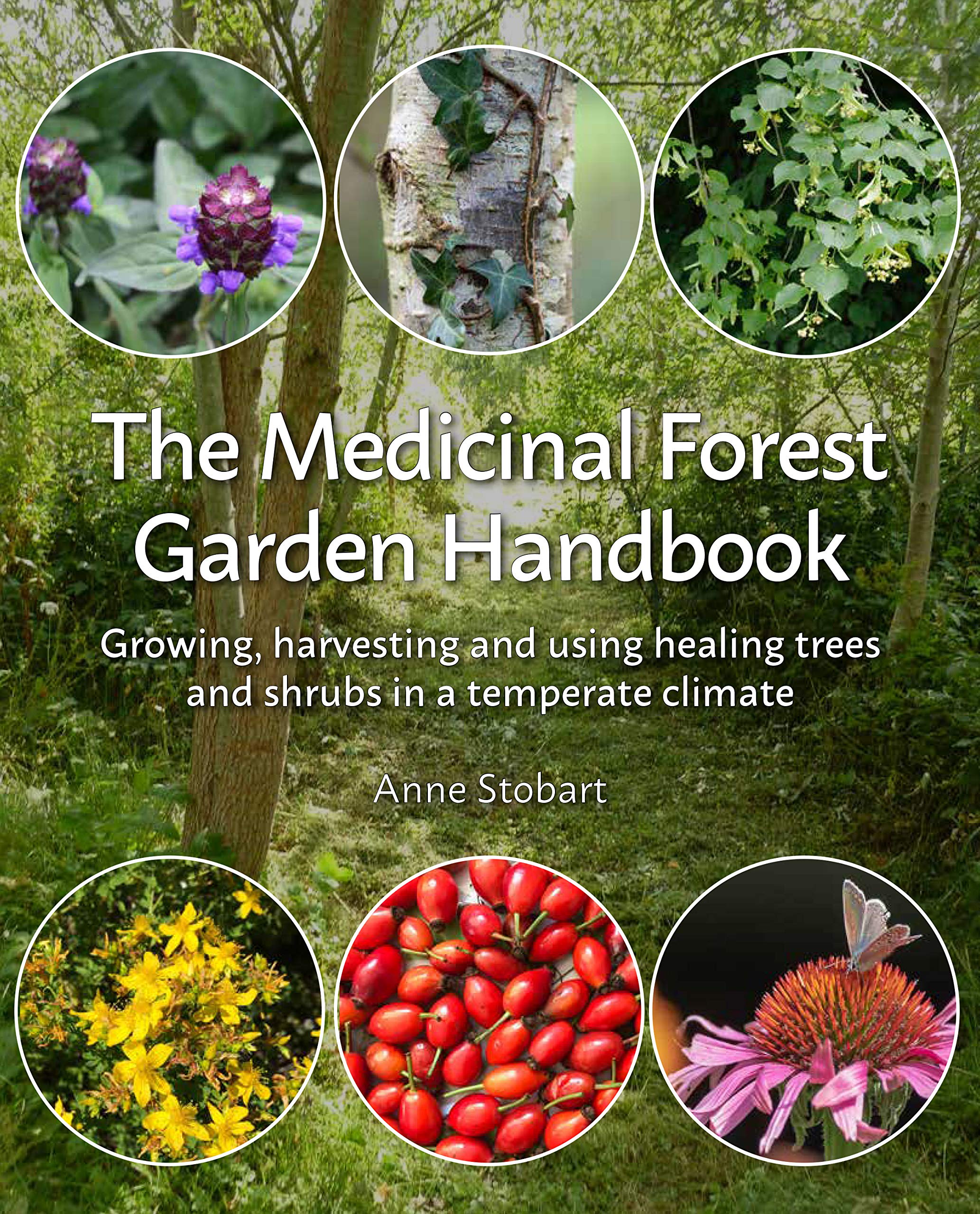 The Medicinal Forest Garden Handbook: Growing, Harvesting and Using Healing Trees and Shrubs in a Temperate Climate