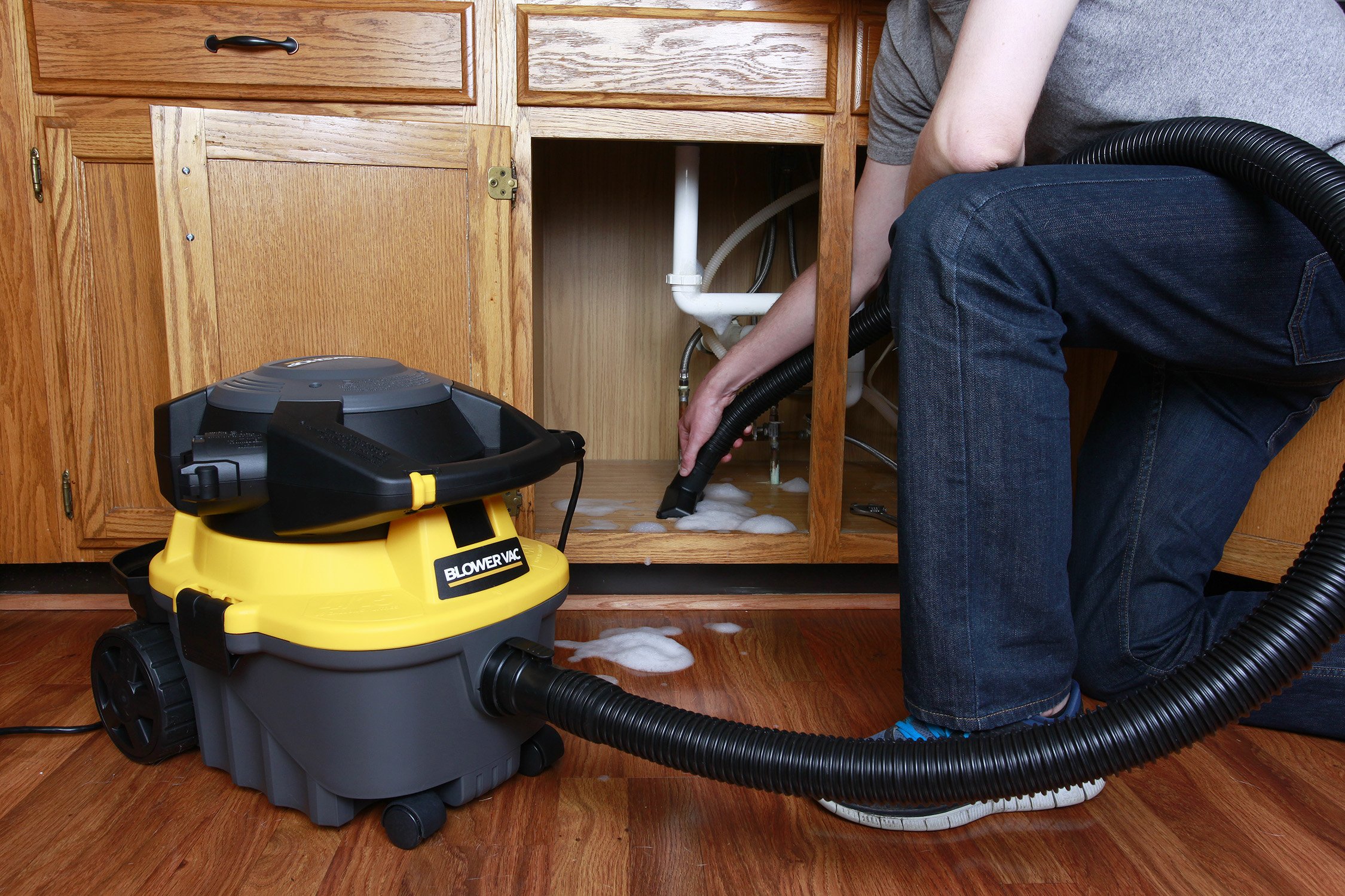 Buy Wet/Dry Vacs Blower Vacuum WS0400DE Portable Wet/Dry