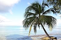 Vista 20 de Mi Alma calcomanías 3D de vinilo para pared vinilo – Fácil de aplicar – resistente.