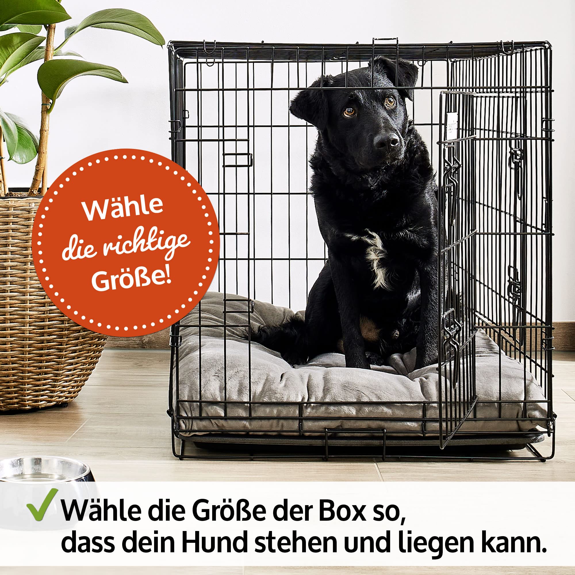 zooprinz Faltbare Hundebox L 90x57x63 cm mit 2 Türen | Aus stabilem Eisen, mit Bodenschale und Transportgriff, faltbar, in 4 Größen verfügbar