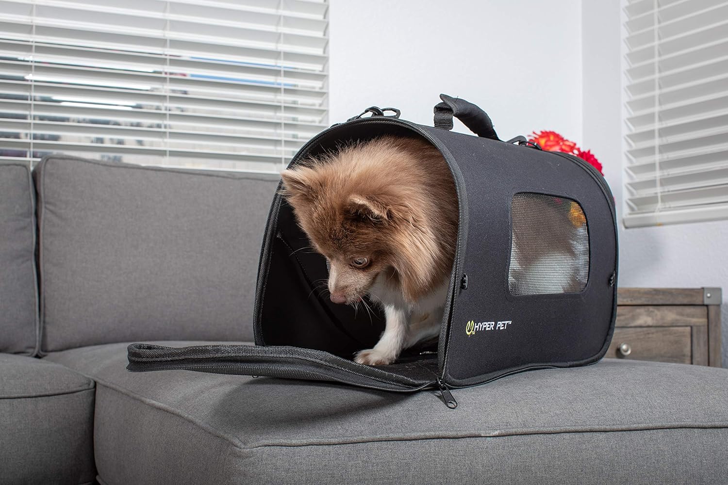 Hyper Pet Soft-Sided Travel Bag Dog Carrier (Collapsible Dog Carrying Bag - Available in Small and Medium Sizes)