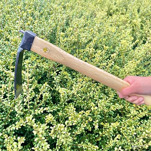 Miniatura 5 de Azada estrecha resistente de 14 pulgadas, sin soldadura, acero al carbono japonés con mango de madera de roble, herramienta de jardín para excavar,