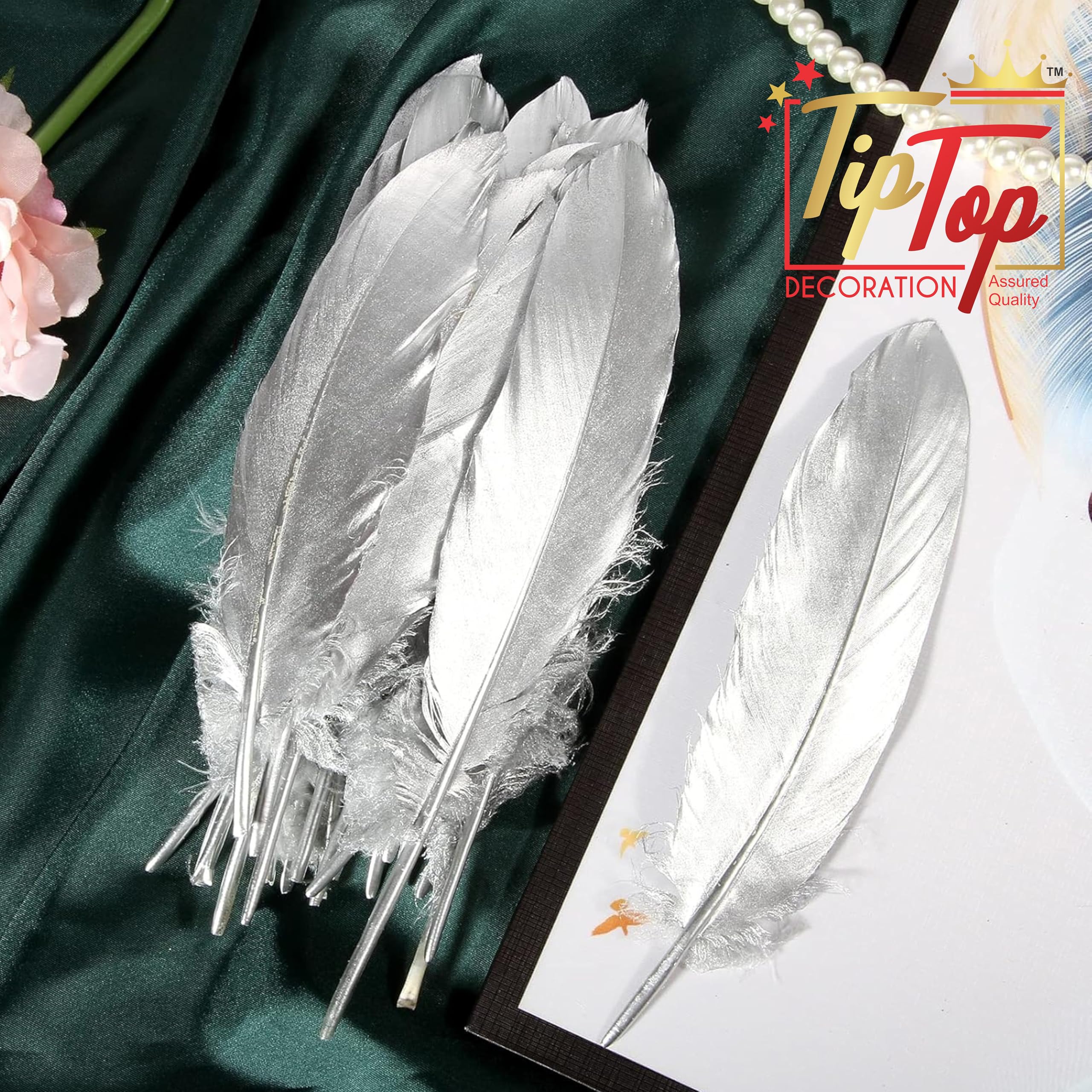 TIPTOP DECORATION Premium Shiny Goose Feather Plumes for Craft (10 Pieces) (18-20 cms) (Antique Silver) 1