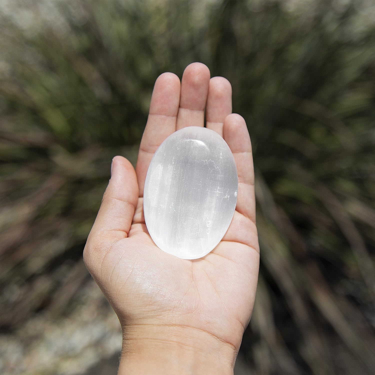 Crystal Selenite Palm Stone Spiritual Healing Massage Palmstones with Certificate of Authenticity Beverly Oaks Exclusive (1 Count (Pack of 1))
