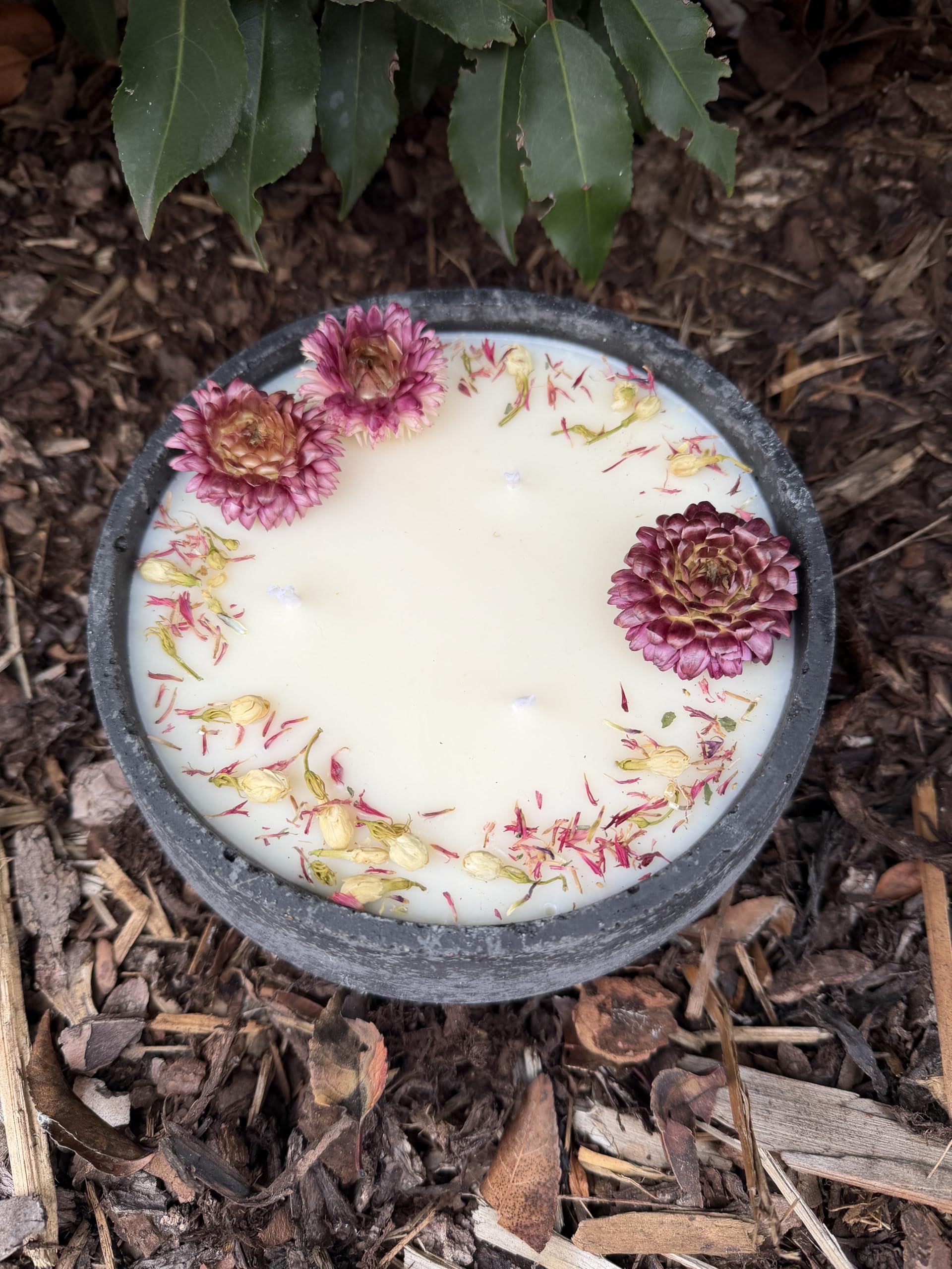 XL Betonkerze "Big Bloom" (Ø 18cm) | Handgegossene 3-Docht Sojawachs Kerze | Mit echten rosa Blüten | Vegan & Nachhaltig | Made in Germany (Frühlings-Deko & Geschenk) (Citronella)