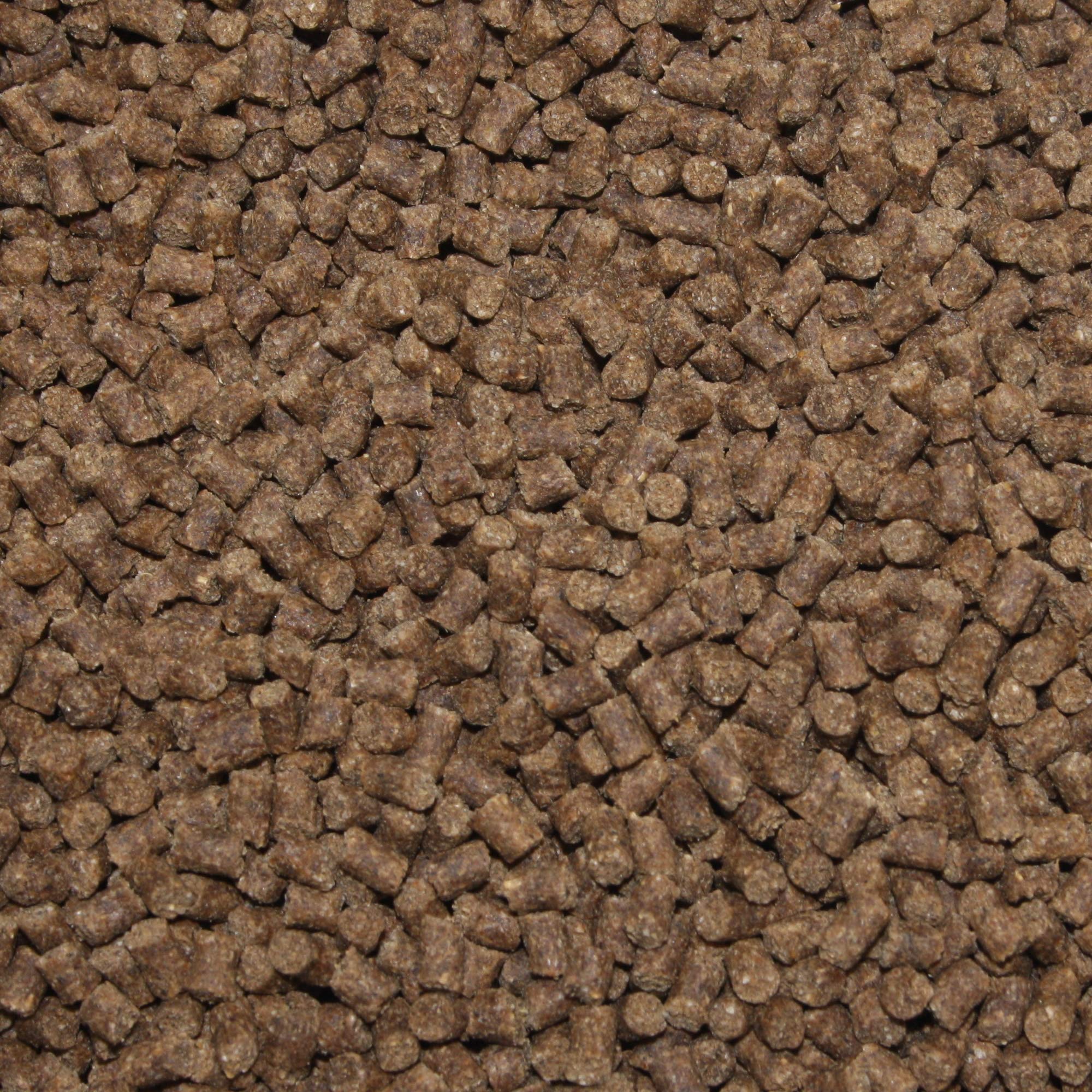 Winterfutter Koi Sinkfutter Tosai Koifutter antibakteriell Monoglyceride Koi Gesundheitsfutter für den Winter Energiefutter arktische Rohstoffe 3mm 5kg Sack