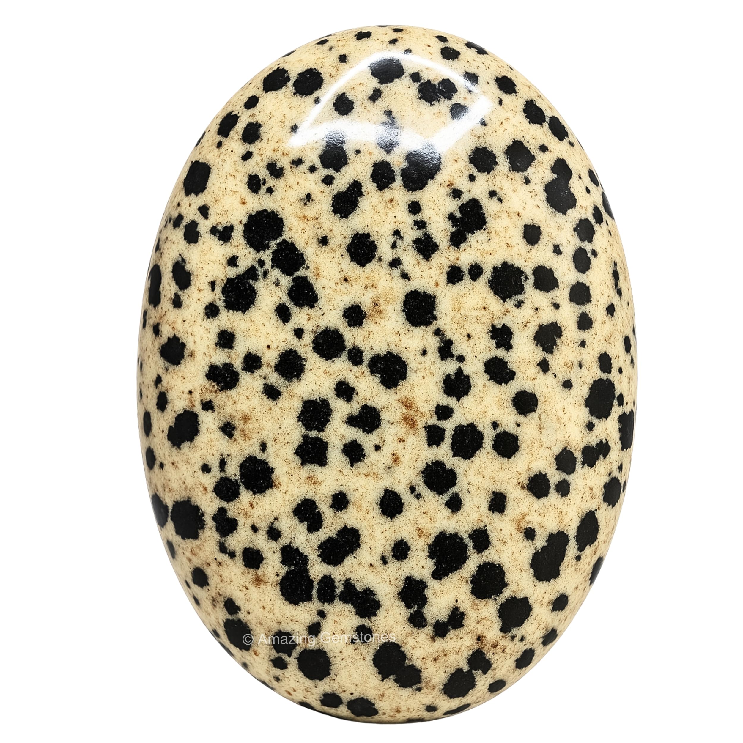 Dalmatian Jasper Crystal Palm Stone, 45-50mm Large Healing Crystal