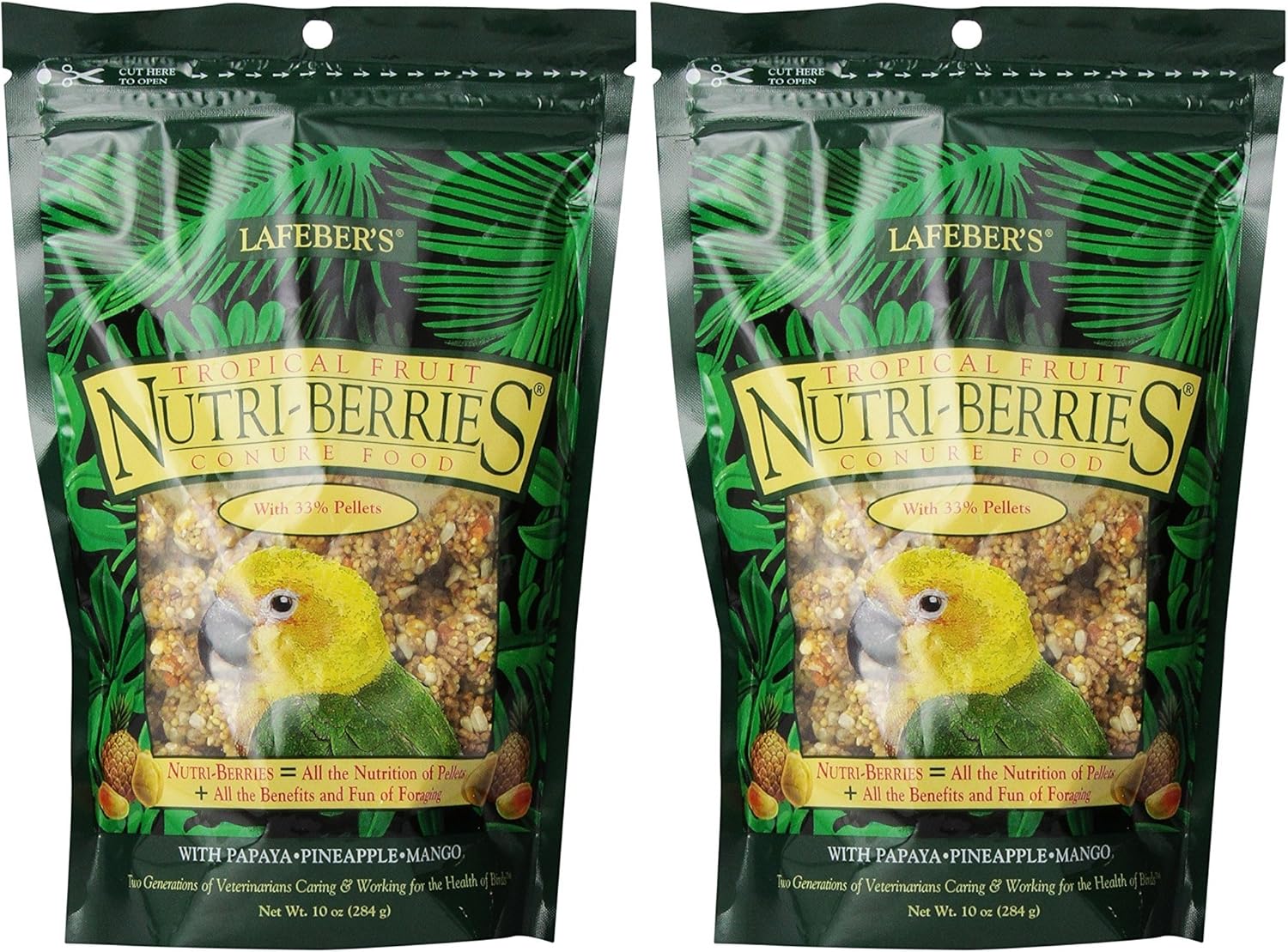 LAFEBER'S (2 Pack) Gourmet Tropical Fruit Nutri-Berries for Conures 10-Ounce Bag