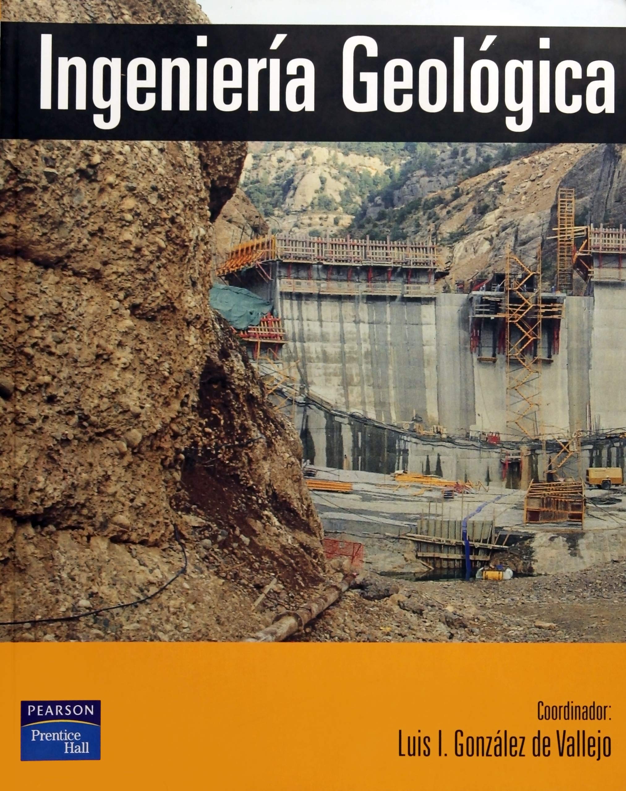 INGENIERÍA GEOLÓGICA (SIN COLECCION)