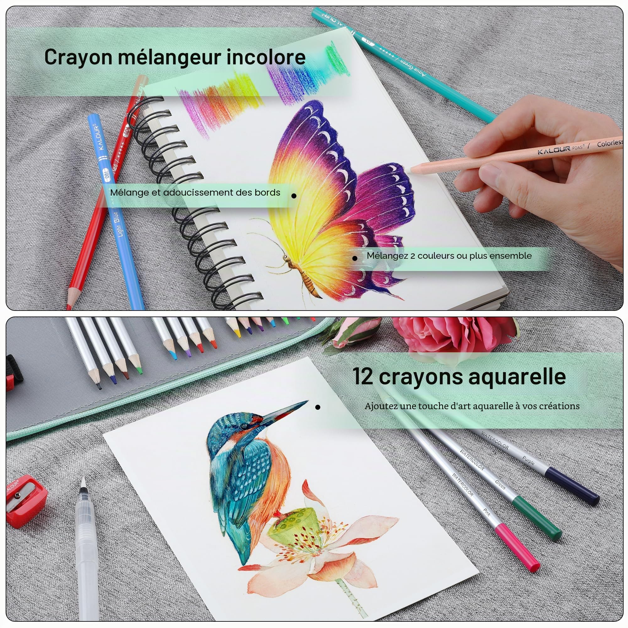 KALOUR Lot de 256 crayons de couleur pour adultes, crayons à noyau doux pour dessiner des nuances, cadeau pour adultes, artistes débutants