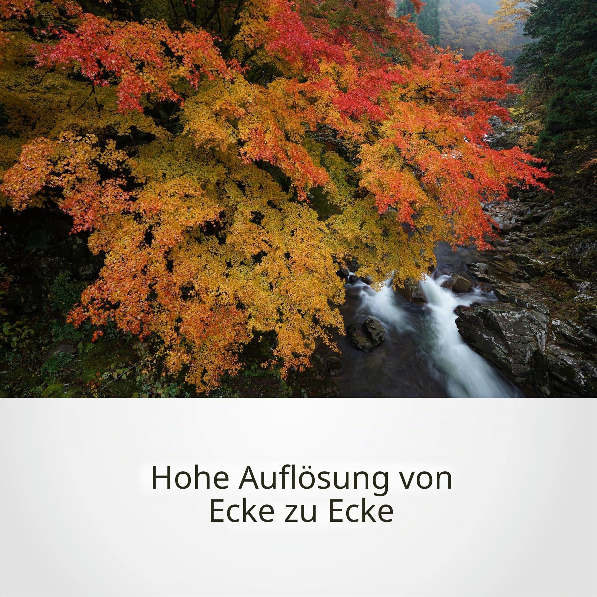 Sony SEL1635GM – 16-35mm F2.8 G Master Weitwinkel-Zoom für Vollformat & APS-C (leistungsstark, E-Mount, ideal für Landschaft, Events & Video, kompatibel mit A7-Serie, ZV-E10, A6400, A6700)
