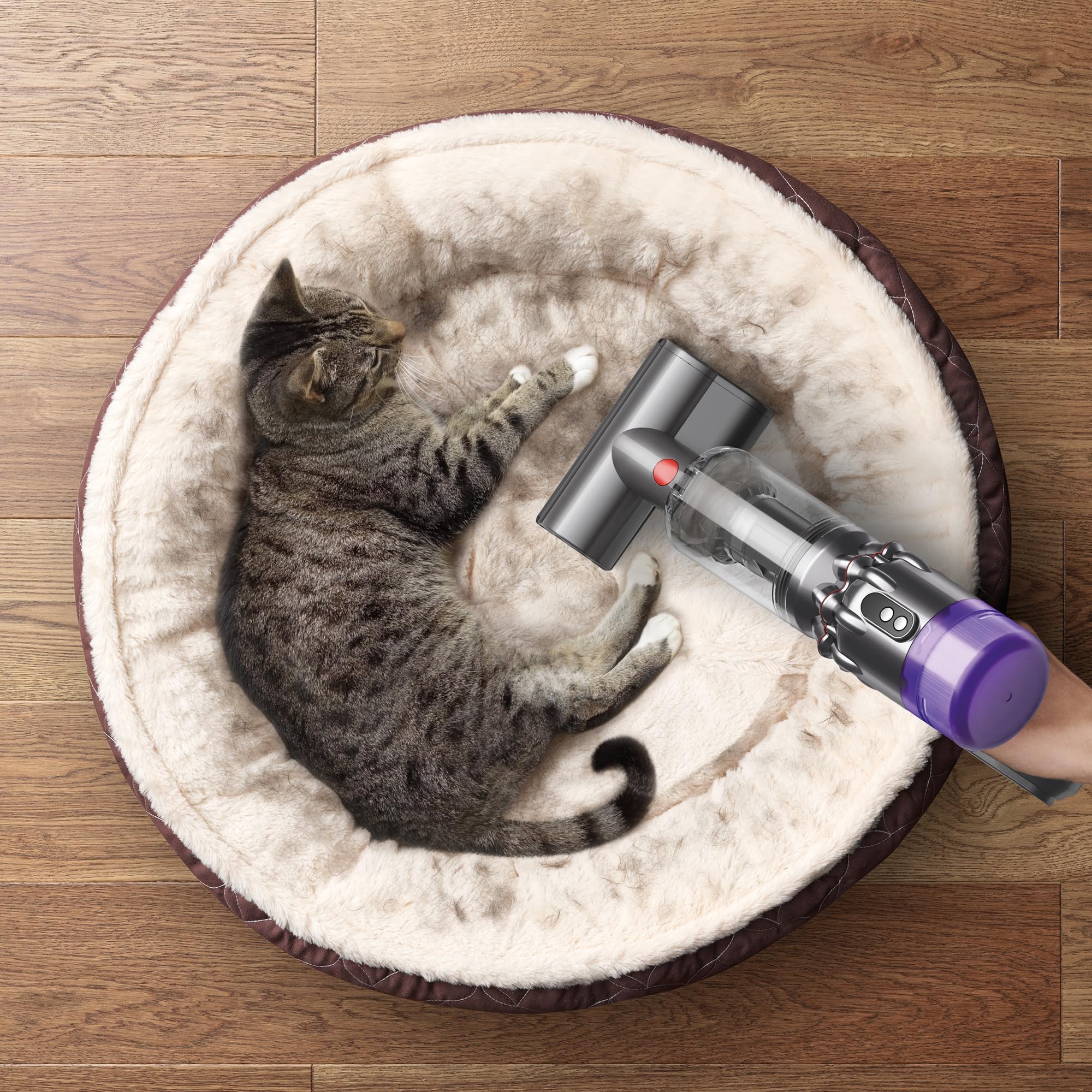 Amazon.co.jp : Dyson ダイソン ミニモーターヘッドツール SV19/SV21