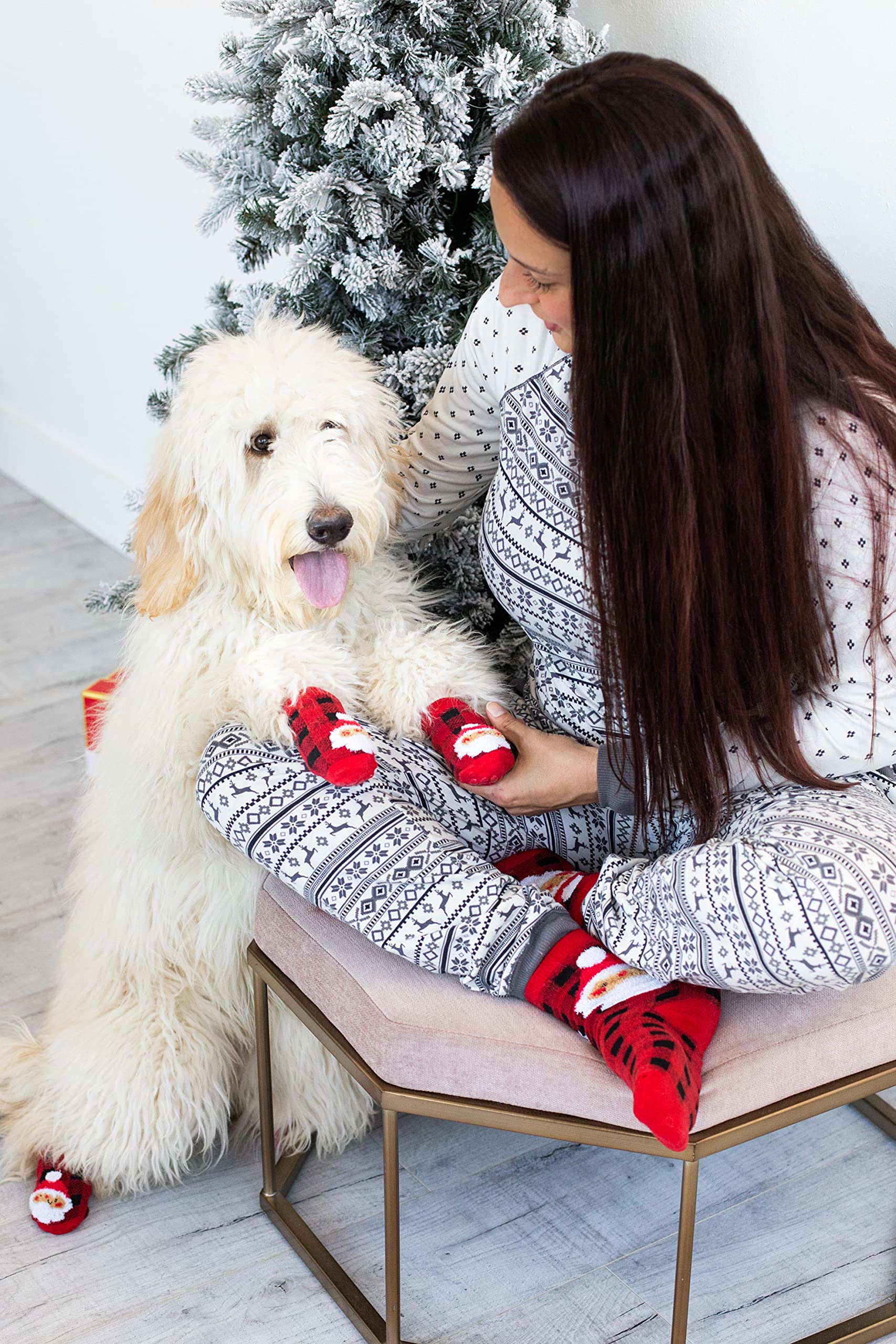 Pearhead Human and Dog Christmas Socks, Matching Pet Owner and Pet Apparel, Novelty Holiday Santa Claus Socks - Image 2