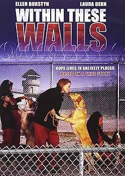 (未使用･未開封品)Within These Walls [DVD] WITHIN THESE WALLS (DVD) VG Disc + Cover Art - NO CASE | eBay