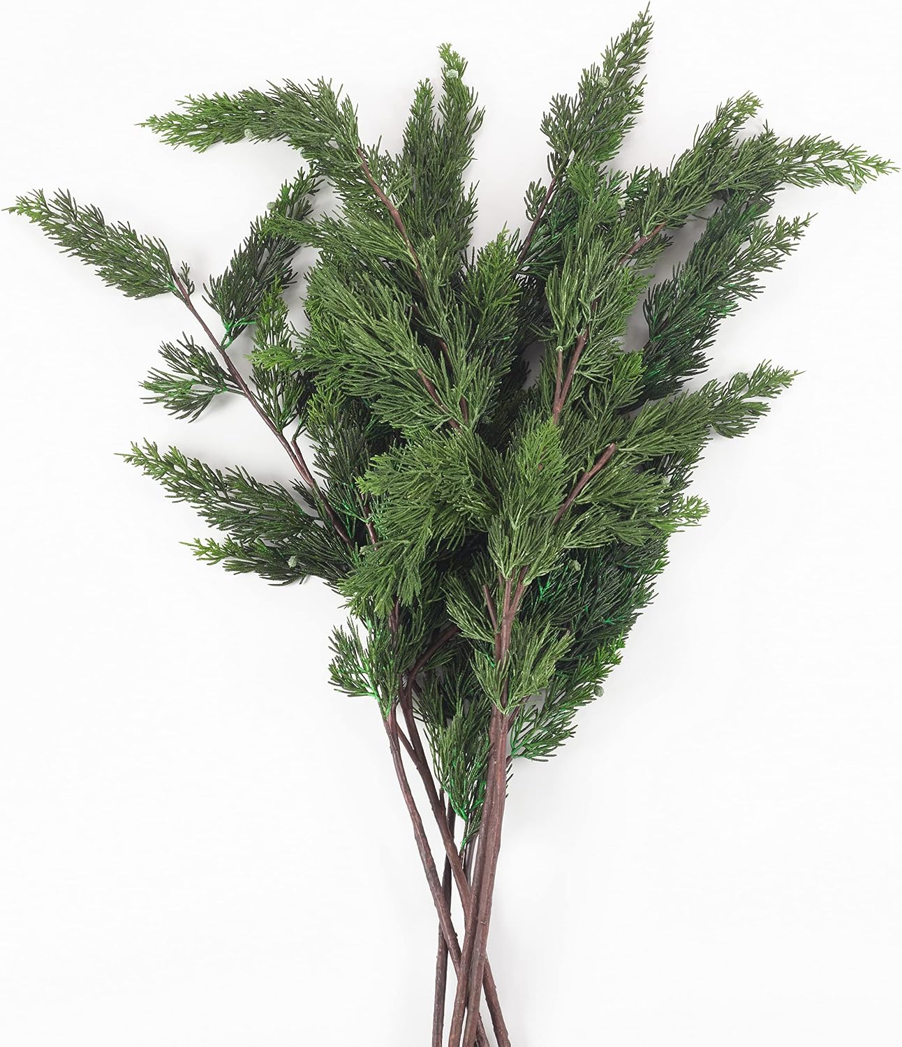 SARO LIFESTYLE Cedar Branch (Set of 6)