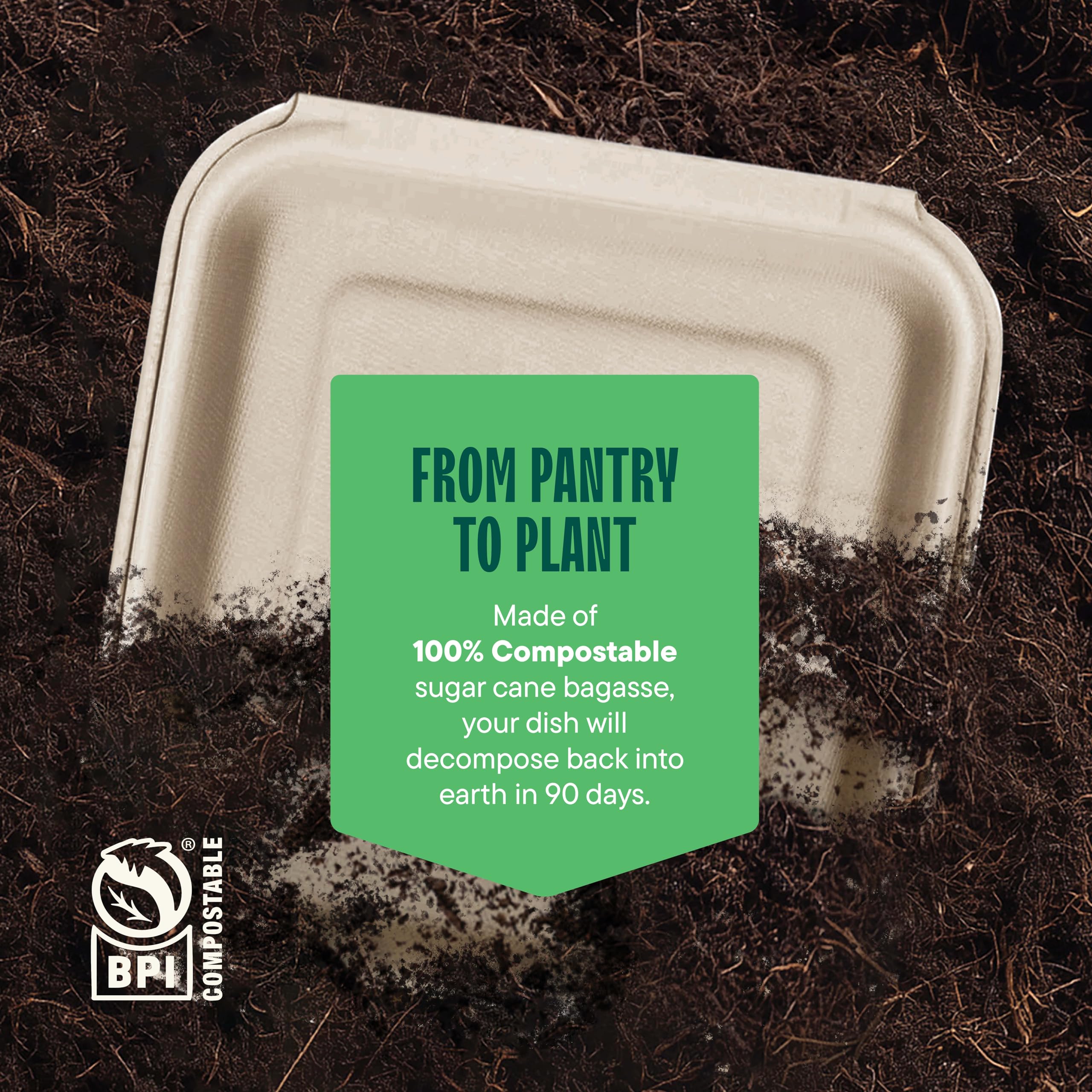 [Caja – Paquete de 200] Contenedores 100% compostables para llevar de 9 x 9 pulgadas, contenedor de alimentos con tapa con bisagras, platos desechables Togo, caja biodegradable ecológica para llevar