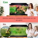 Ver la foto 2