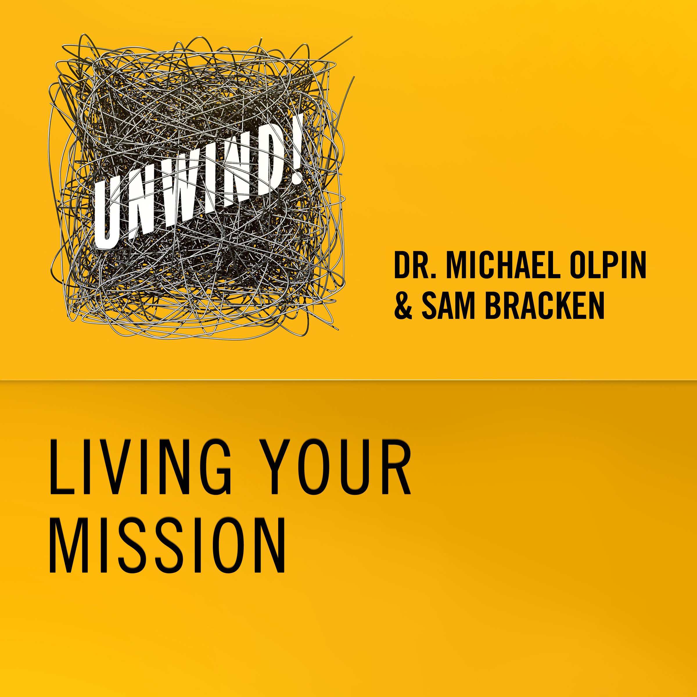 17: Living Your Mission