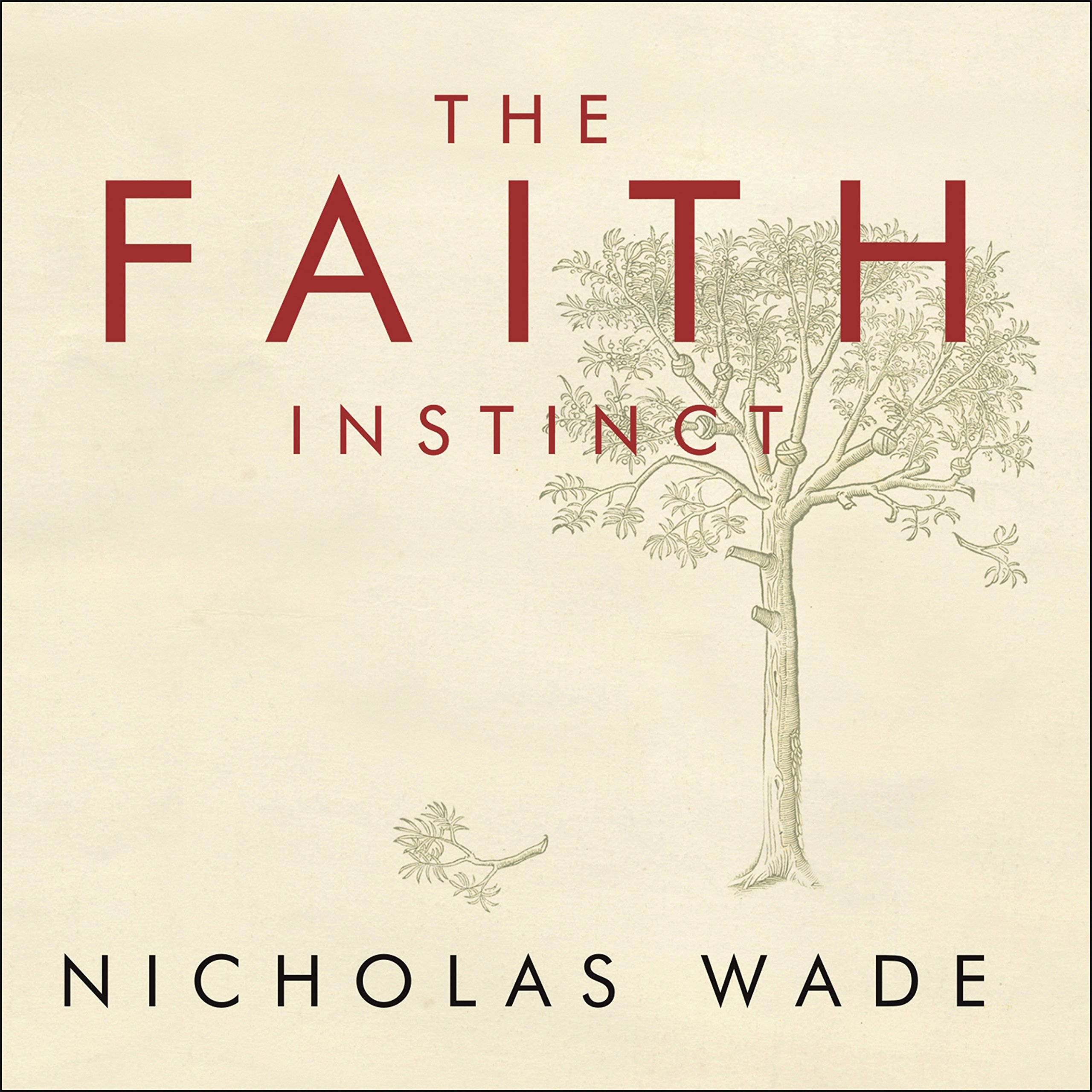 Cover art for The Faith Instinct