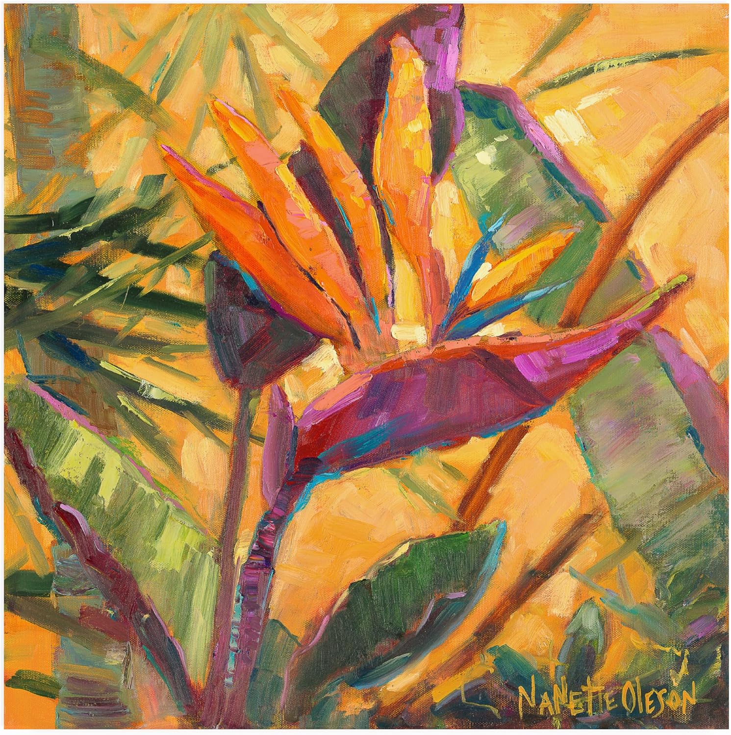 Trademark Fine Art Nanette Oleson 'Splash Of The Tropics I' Outdoor Canvas 35x35