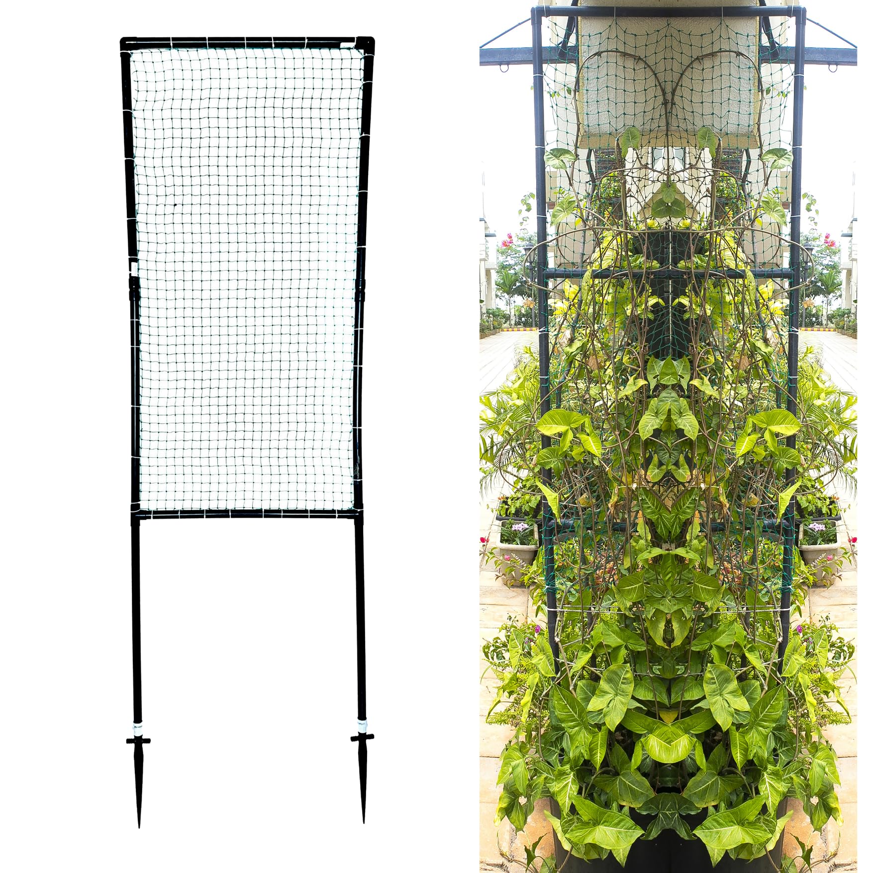 Invelligen Garden Trellis 6 Feet Balcony Privacy Screen with Creeper Support Plant Support Poles and Stakes Pack of 1 (B0CF63FSZ4) Amazon Price History, Amazon Price Tracker