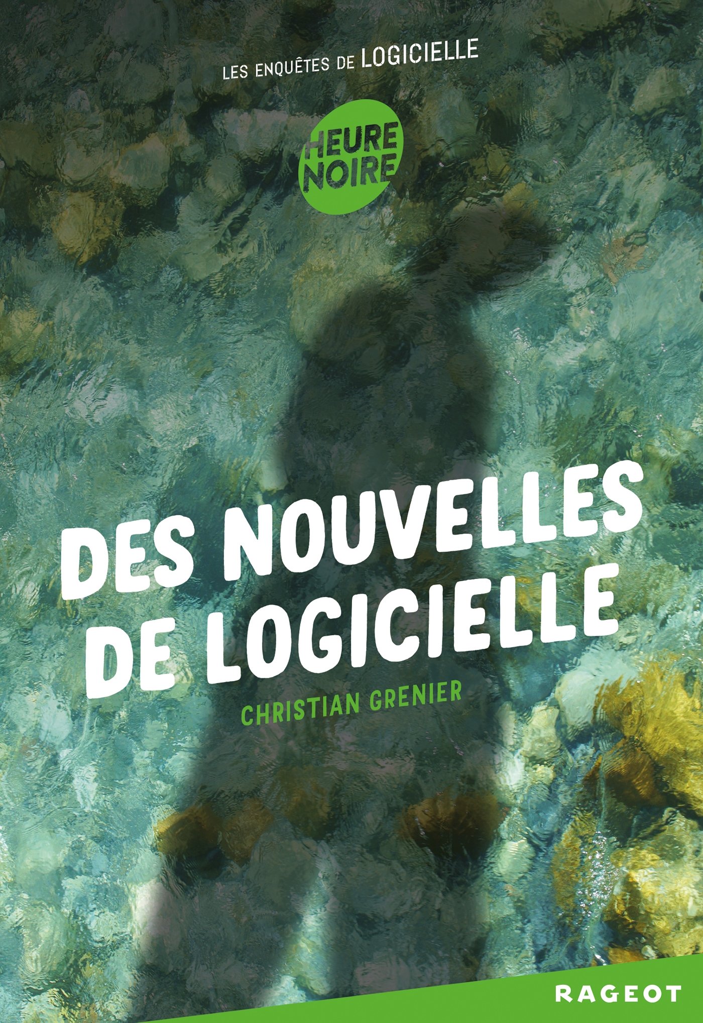 Les enquêtes de Logicielle : Des nouvelles de logicielle