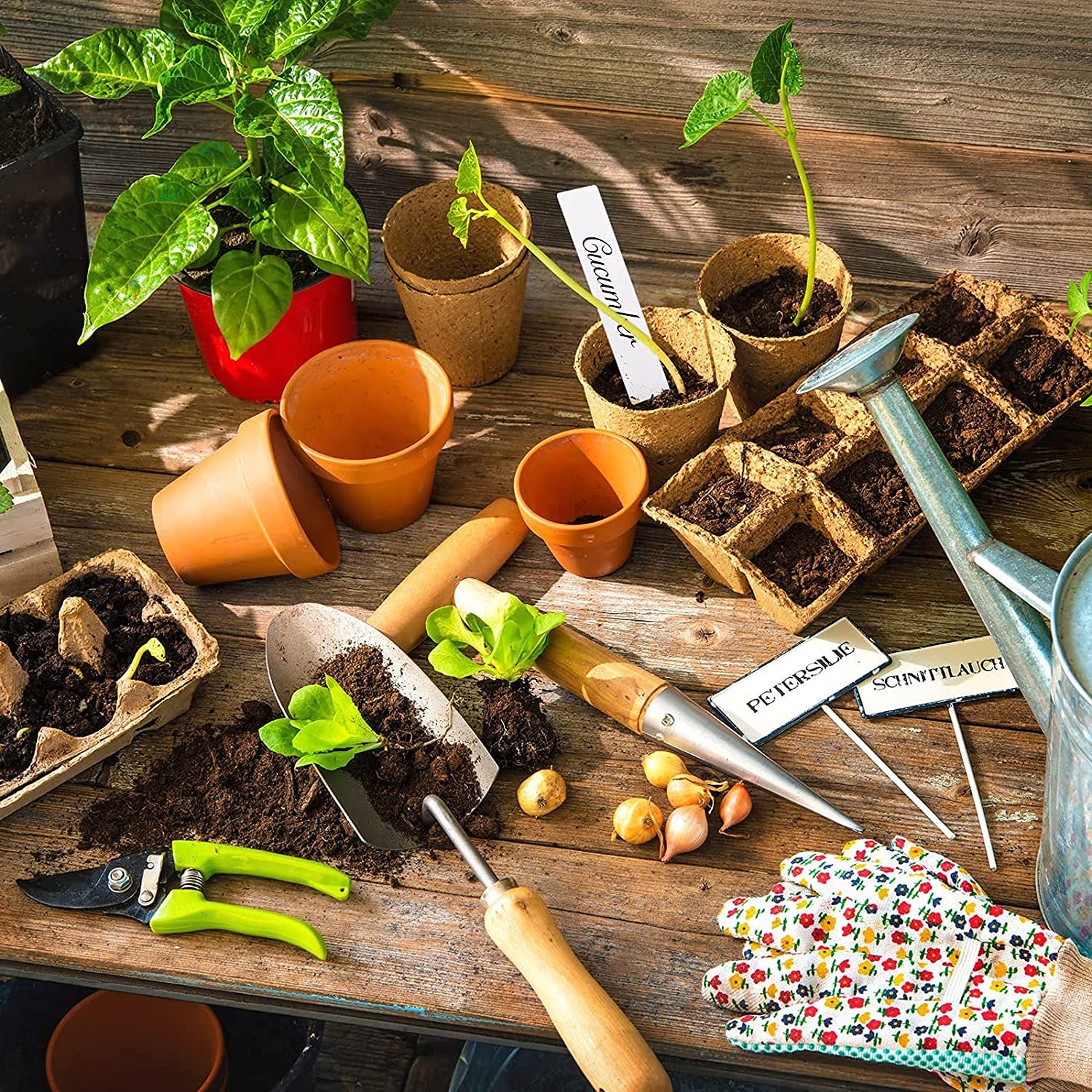 Zuverlässiger Samenstarter, Torftöpfe, Gartenkeimung, Anzuchttöpfe, Bio-Keimung, Pflanzenstarter mit Kunststoff-Pflanzenmarkern, Etiketten für Pflanzen (80, 8 cm Durchmesser)