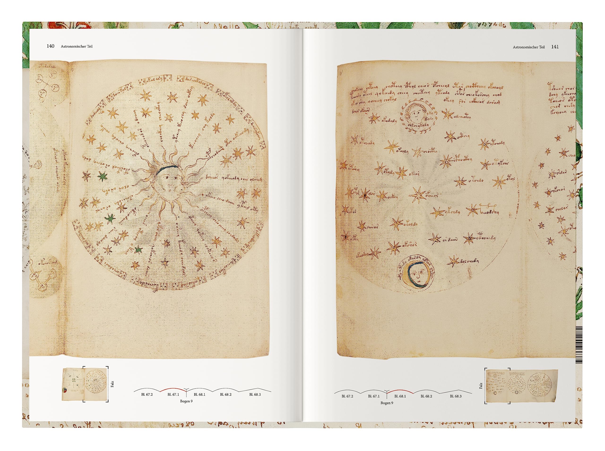 Das Voynich Manuskript: Gesamtdarstellung aller Tafeln der geheimnisvollen illuminierten Handschrift