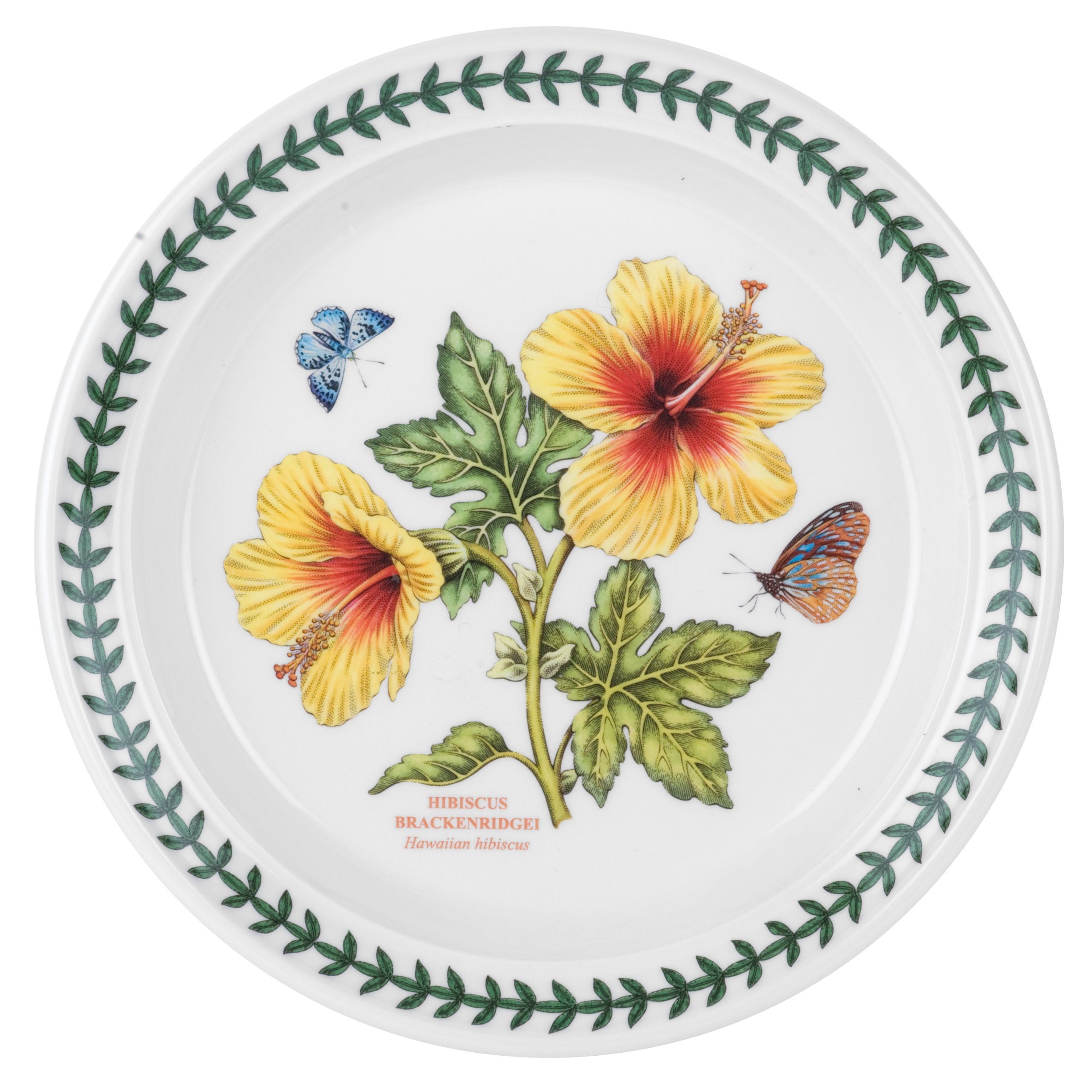 Portmeirion Home & Gifts 520172 - Set di piatti per insalata da giardino botanico esotico con 6 Moti assortiti