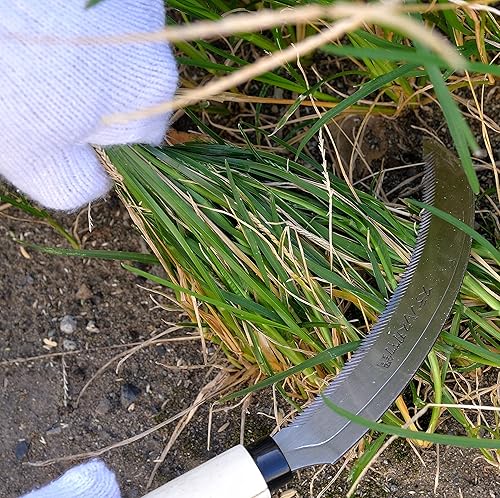 Miniatura 3 de KAKURI Herramienta de jardín de hoz dentada de 6.7 pulgadas, herramienta de deshierbe para deshierbe, cosecha, trasplante, hoja de acero inoxidable