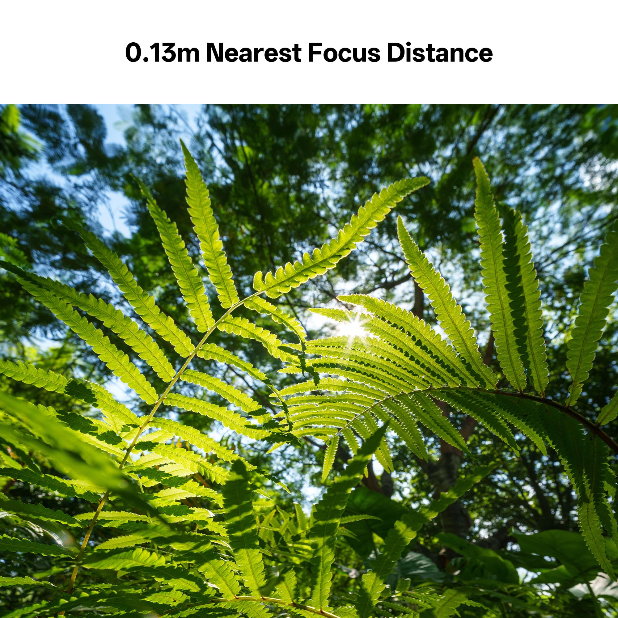 VILTROX 14mm f4.0 FE Objectif pour Sony E-Mount, Plein Cadre Grande Ouverture Ultra Grand Angle Objectif Compatible avec Les Appareils Photo Sony E-Mount a7C ZV-E10II a7 a7R A7R A7 A7R ZV-E10