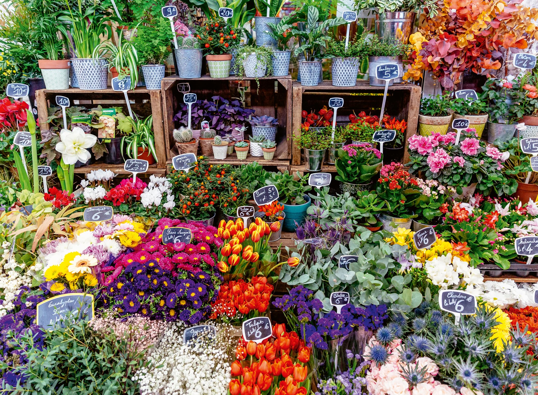 Ravensburger 500 Piece Jigsaw Puzzle - Flower Market, France, Multicolor, 29.5 x 23.1 x 3.7 cm