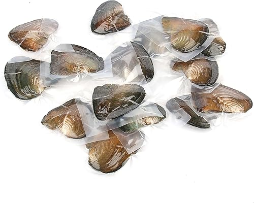 Miniatura 7 de 4 piezas de ostras de perlas cultivadas de agua dulce con perlas redondas en 4 colores (0.256-0.295 in) para hacer joyas o regalos de cumpleaños,