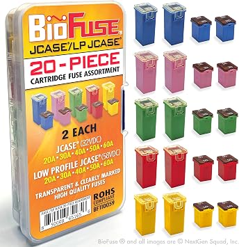 JCASE & LP Low Profile JCASE 20-Piece Cartridge Fuse Assortment 20A 30A 40A 50A 60A 2 Each. Fits Most Nissan, Toyota, Chrysler, Dodge, Chevy, GM, and Ford