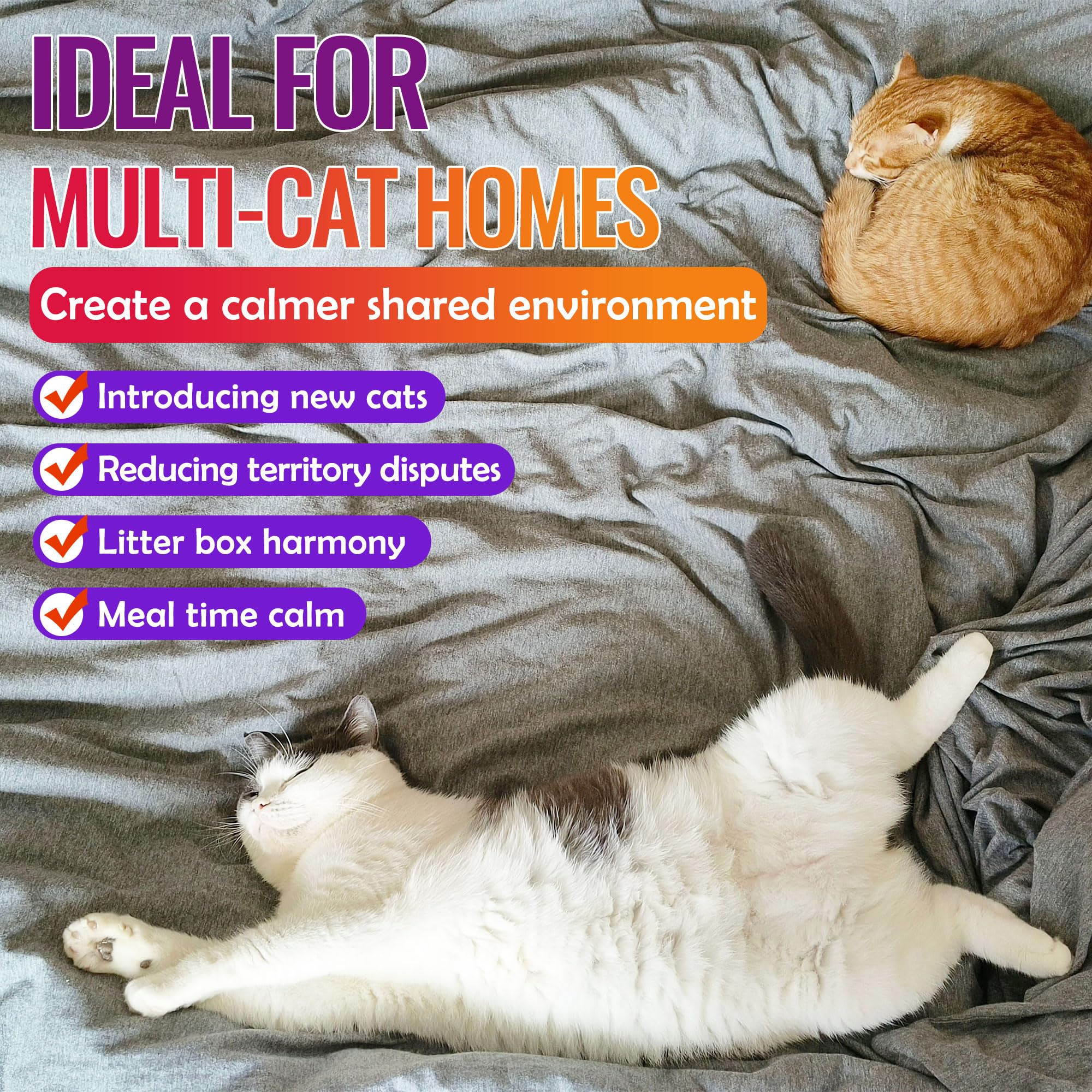 Petstoral Diffuseur de phéromones pour chat avec minuterie, programme intelligent de 4/8/12/24 heures, aide à réduire l'anxiété, la pulvérisation d'urine, les rayures et l'agression pour les maisons