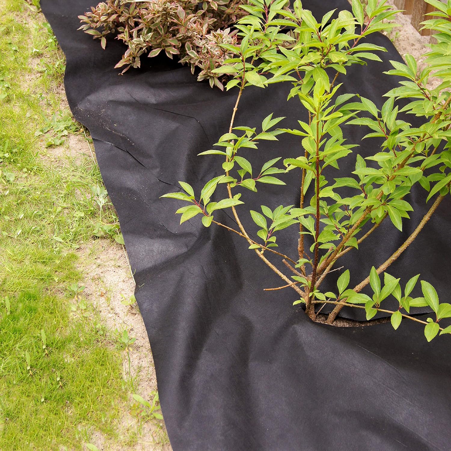 CONNEX FLOR80355 0.9 x 10 m Weed Mat - Multi-Colour - Image 4