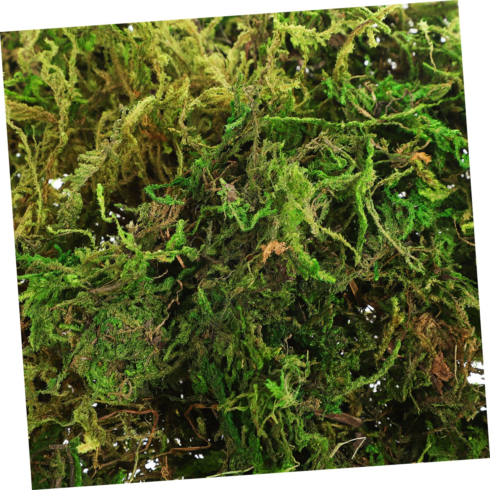 SOLUSTRE Artificial Green Dyed Moss for Gardens Fake Moss for Indoor Plants for Floral Arrangements Craft Projects