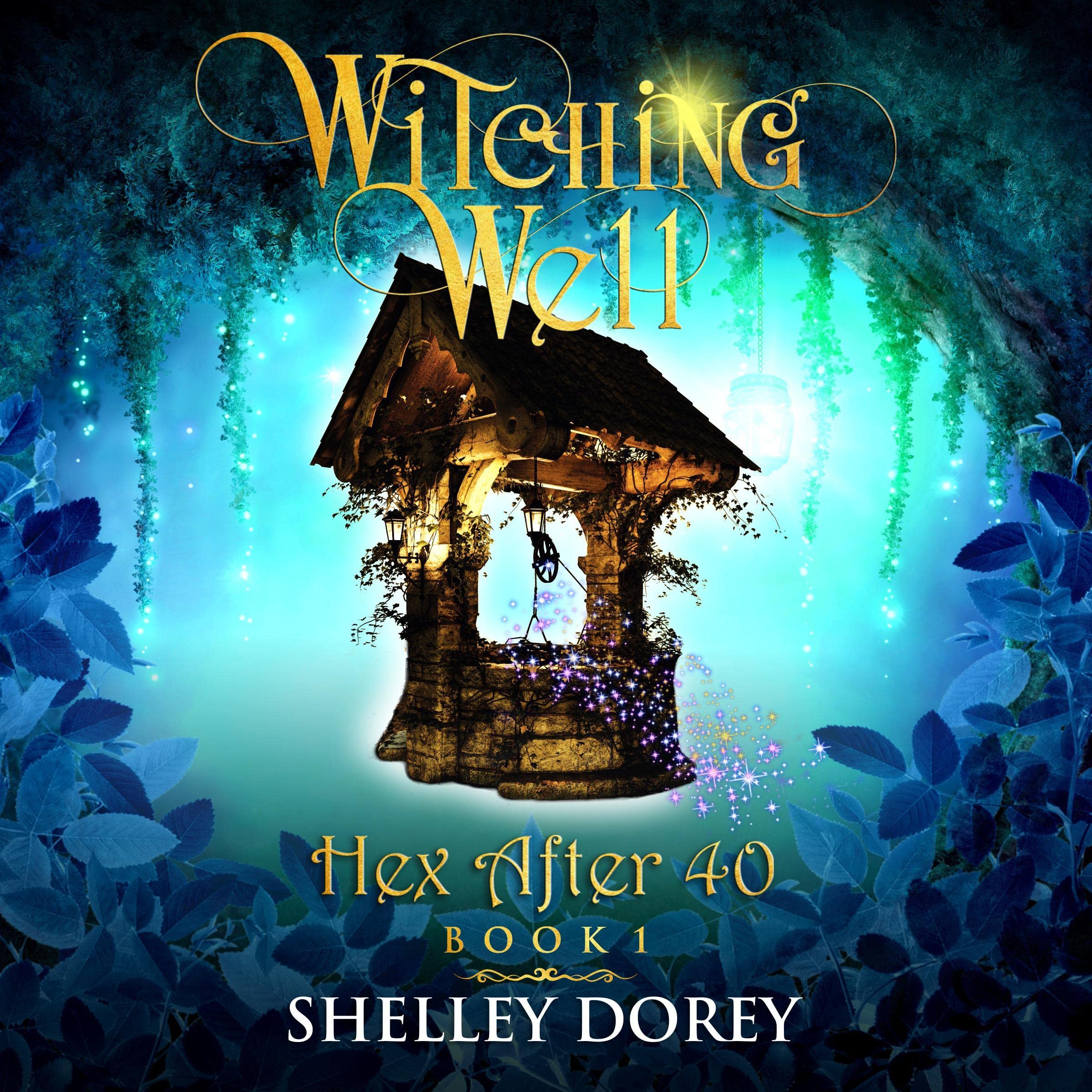Cover art for The Witching Well