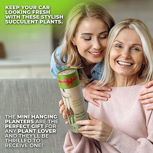 Miniatura 2 de Juego de 2 macetas colgantes para suculentas con aceite esencial y suculentas artificiales, perfectas para el hogar, la oficina o el espejo