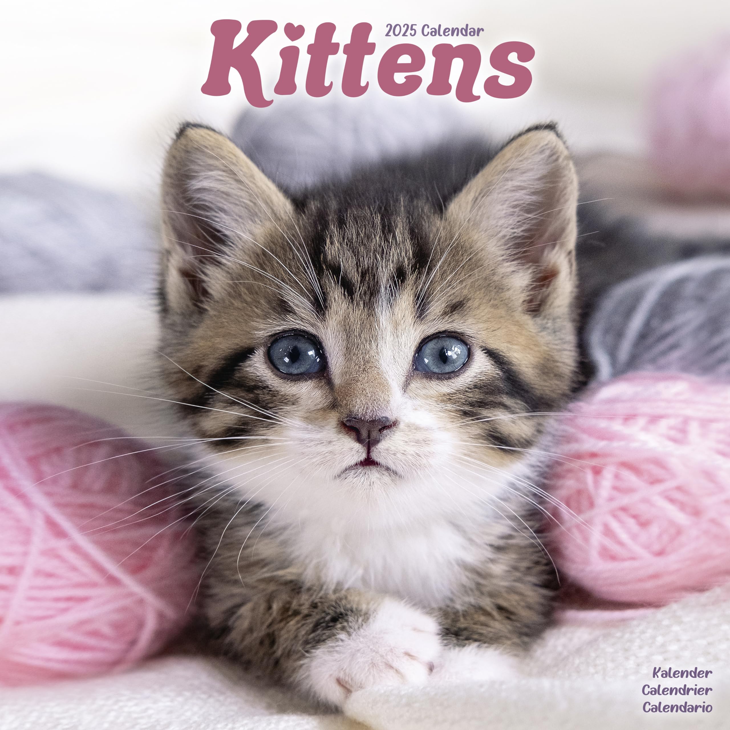 Kittens 2025 Square Wall Calendar | Animal, Cat, Pet Calendar