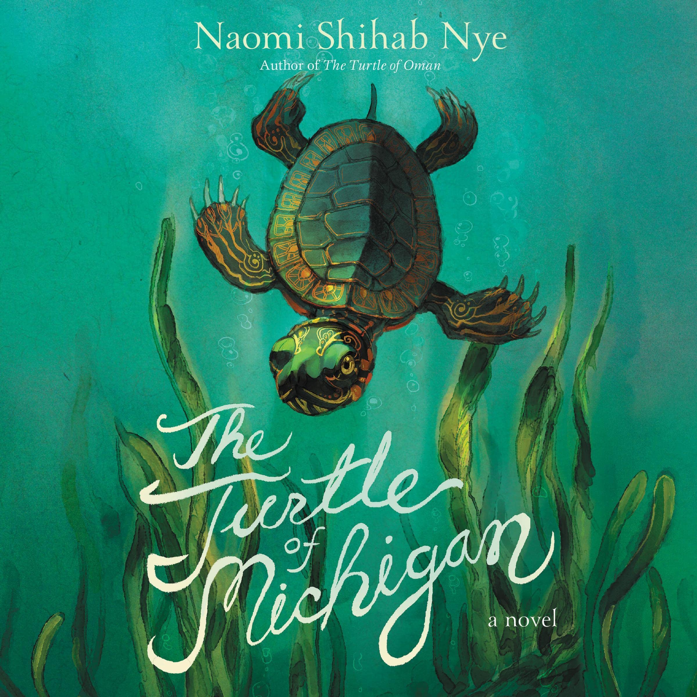 Cover art for The Turtle of Michigan