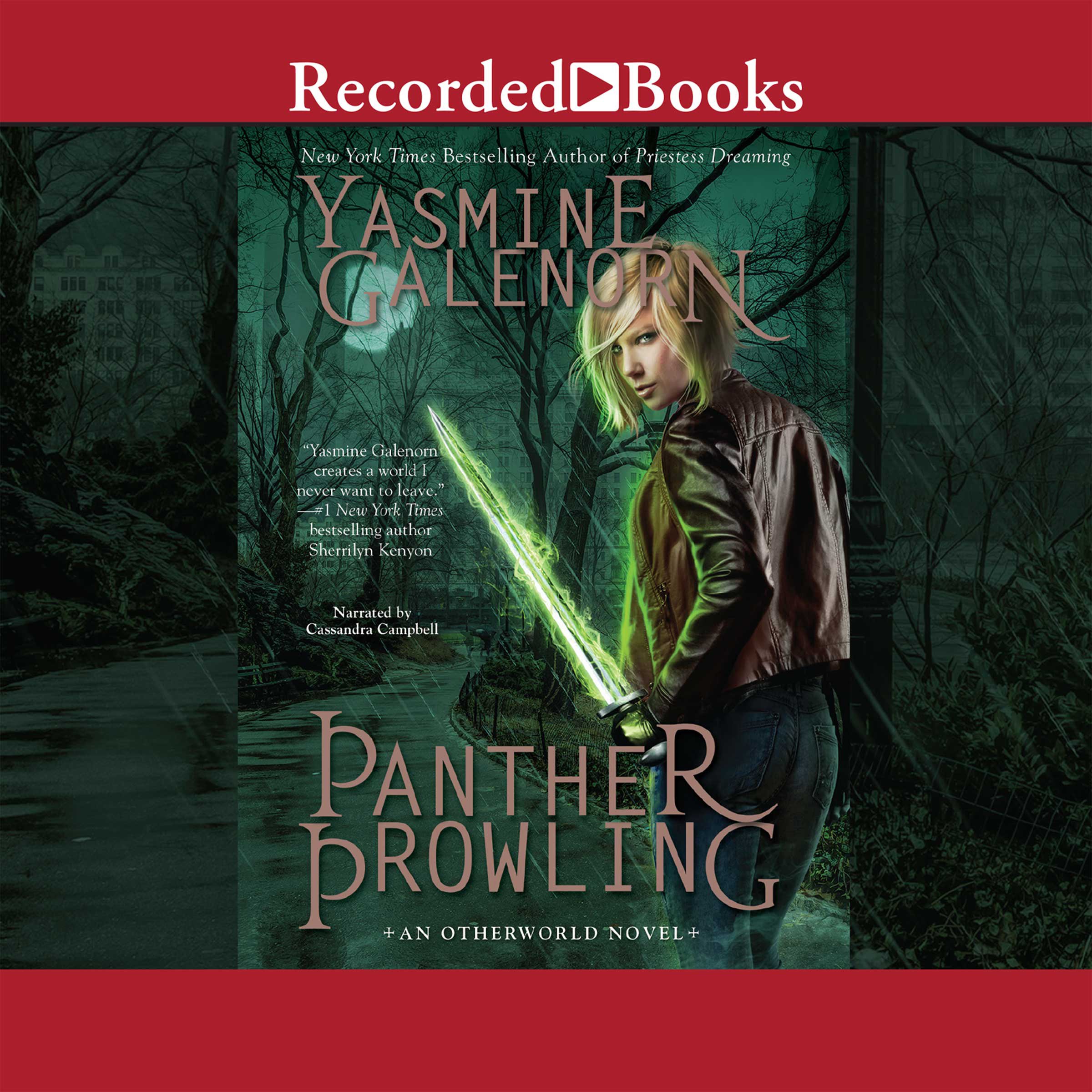 Cover art for Panther Prowling